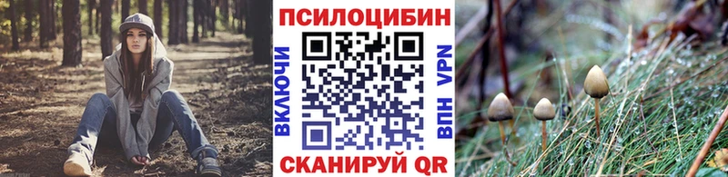 kraken вход  Воркута  Псилоцибиновые грибы Psilocybine cubensis  как найти  